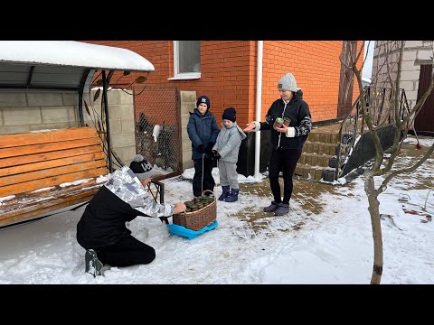 Видео: Паштет з свинини в автоклаві!!!