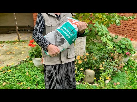 Видео: Бабуля с топором ! Старое рушит и творит конфетку!