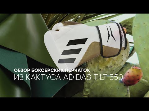 Видео: Обзор на ADIDAS TILT 350 CACTUS LEATHER boxing gloves. Боксерские перчатки из кожи кактуса, как это?