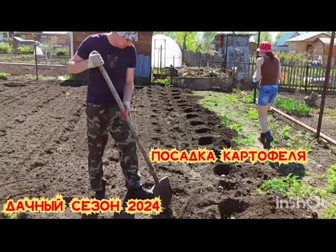 Видео: ДАЧНЫЙ СЕЗОН 2024/ОГОРОДНЫЕ ДЕЛА/ПАШУ ОГОРОД НА ДАЧЕ/ПОСАДИЛИ КАРТОШКУ/ВОССТАНАВЛИВАЮ СТАРУЮ ДАЧУ