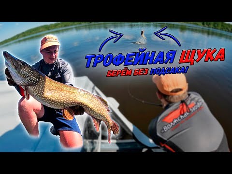 Видео: ТРОФЕЙНАЯ ШУКА НА ДЖИГ! "Десятка" выходит на свечку. Подсака нет - берём руками|Волжская Заруба 2022