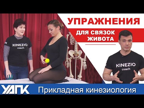 Видео: Упражнения для связок живота. Глеб КИРДОГЛО