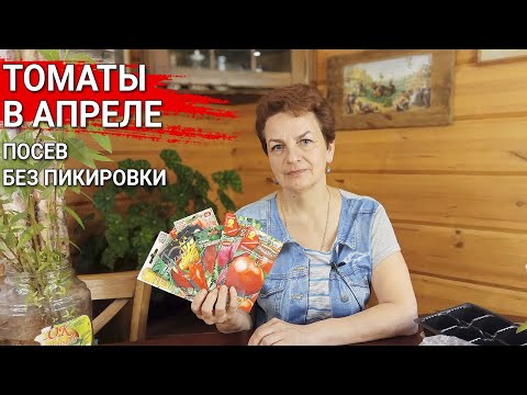Видео: Томаты в апреле - посев без пикировки