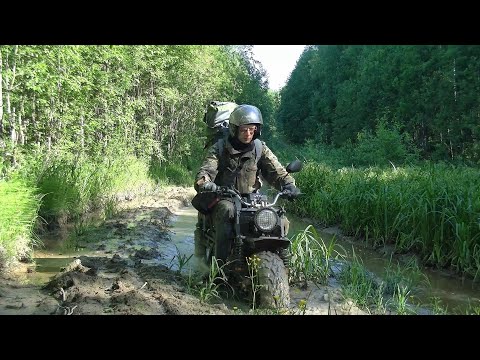 Видео: Рыбалка на озере, поплавочка, кружки... #315