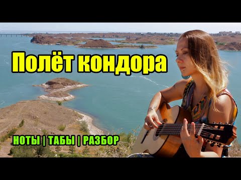 Видео: Полёт кондора (El Condor Pasa) | На гитаре | Ноты Табы Разбор