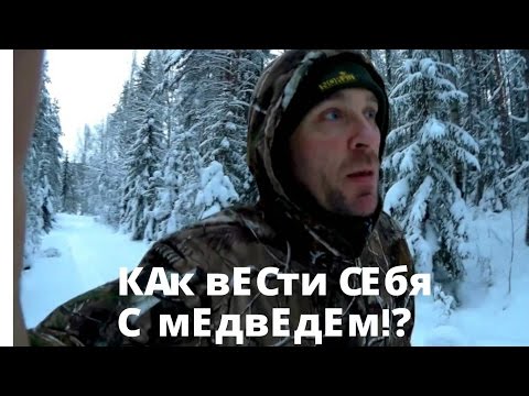 Видео: Как вести себя с медведем в тайге!?