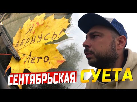 Видео: ПОКУПАЮ ХЛАМ И ВЕРЮ В ЛУЧШЕЕ…