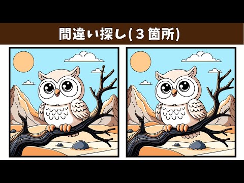 Видео: Найдите 3 отличия | Иллюстрация Версия #1509