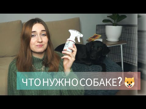 Видео: ОБЗОР НА ВСЕ ВЕЩИ МОЕЙ СОБАКИ! 🐶 ЧТО нужно ДЛЯ СОБАКИ? ПОКУПКИ ИЗ ЗООМАГАЗИНА + ПРОМОКОД НА СКИДКУ
