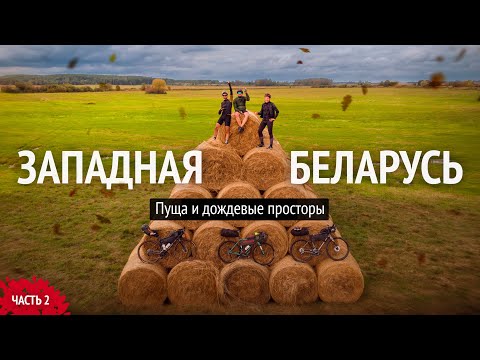 Видео: На велосипедах по Беловежской Пуще. Едем до Гродно. Часть 2