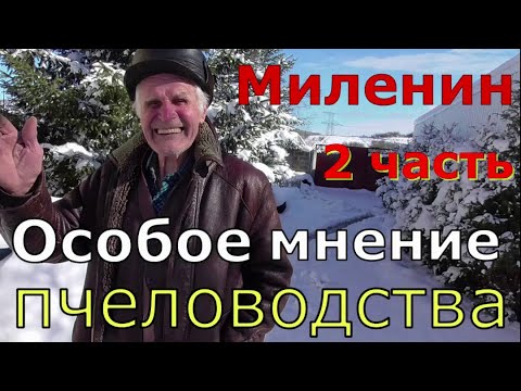 Видео: Миленин М И / Как правильно водить пчёл / 2 часть.