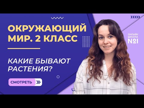 Видео: Видеоурок 10. Какие бывают растения? Окружающий мир 2 класс