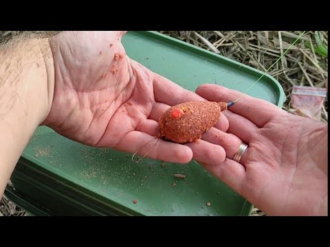 Видео: Рыбалка на карпа осенью Рыбалка по холодной воде. #карп #карась #fishing #рыбалка #донка #carp #флэт