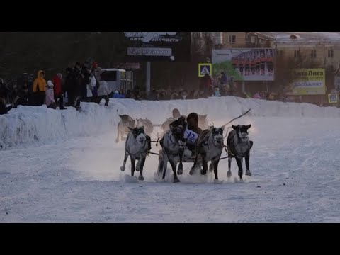 Видео: ВОРКУТЕ 80!