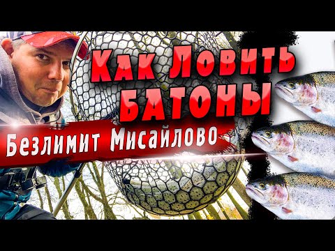 Видео: Безлимит Мисайлово | Как ловить крупную форель | Пассивная форель на силикон