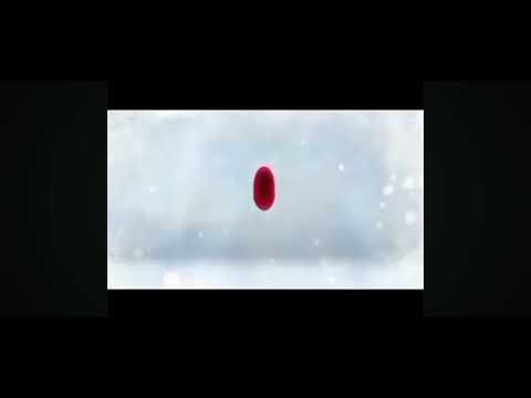 Видео: Эльдорадо реклама Logo