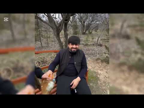 Видео: Срочно! Приколои Нави Голибшов Ай хандара мемури😂 Ташкили