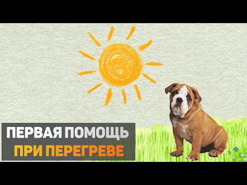 Видео: Первая помощь при перегреве
