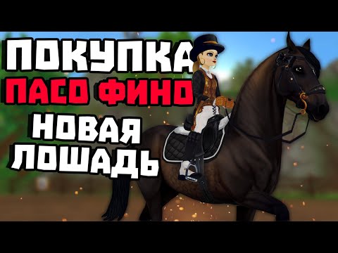 Видео: ПОКУПКА ПАСО-ФИНО | НОВАЯ ЛОШАДЬ КОТОРУЮ НИКТО НЕ ЖДАЛ | Star Stable