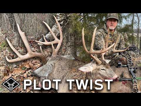 Видео: НЕОБЫЧНЫЙ ПОВОРОТ СЮЖЕТА | Восхождение Бена Большого Бака...