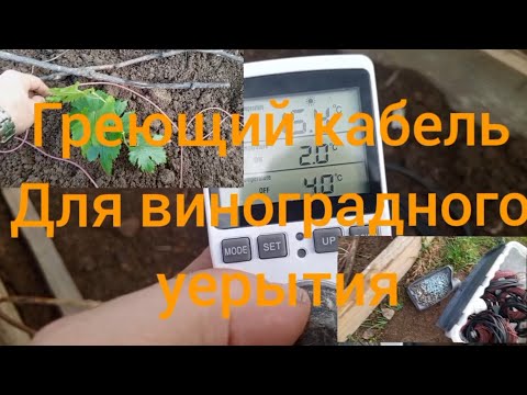 Видео: Греющий кабель для виноградного укрытия.