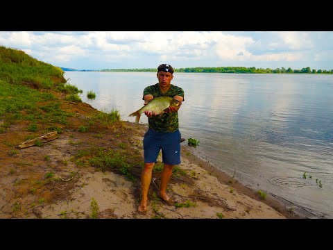 Видео: Крупный ЛЕЩ. Рыбалка на РЕКЕ. Ловля на ДОНКУ С БЕРЕГА. Рыбалка в ГРОЗУ. РЫБАЛКА 2022