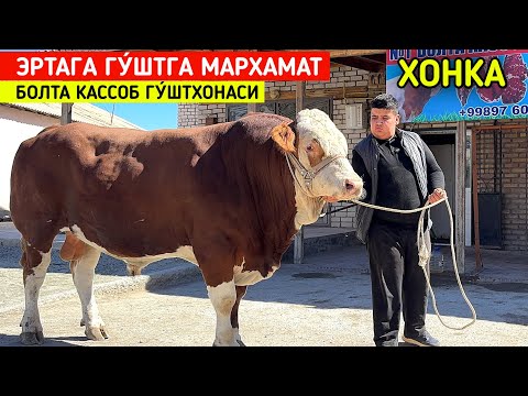 Видео: ЭРТАГА 6-ОКТЧБР ГУ́ШТГА МАРХАМАТ ХОНКА БОЛТА КАССОБ ГУ́ШТХОНАСИ !!! ХОРАЗМ БОЗОР 