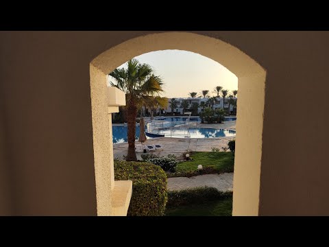 Видео: КОСТИН ДВИЖ в ЕГИПТЕ