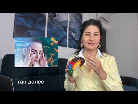 Видео: 7 ноября 2025 г.