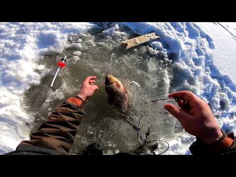 Видео: Рыбалка ХАПУГОЙ на сибирской реке.