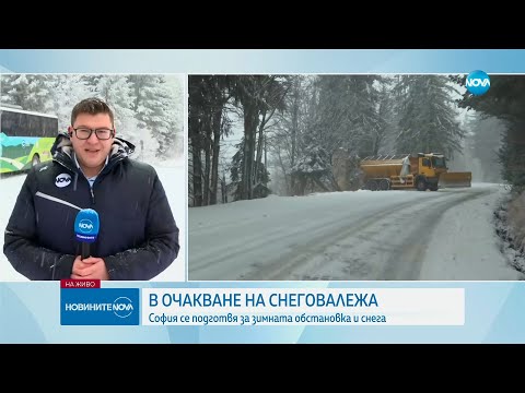 Видео: Проблеми заради снега: Тирове закъсаха в Монтанско, удариха се снегорин и кола (ОБЗОР)