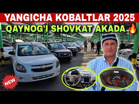 Видео: 5 ноября 2025 г. TOSHKENT SERGELI MASHINA BOZORIDAN SHOVKAT AKADA AKSIA BOSHLANDI SHOSHILING 