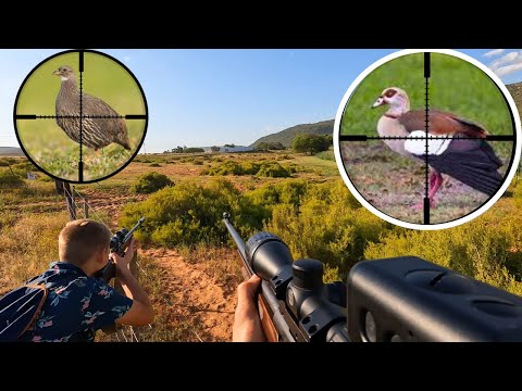 Видео: Охота на водоплавающую дичь и фазанов с Double 22LR!