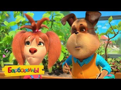 Видео: Барбоскины | Обида | Сборник мультиков для детей