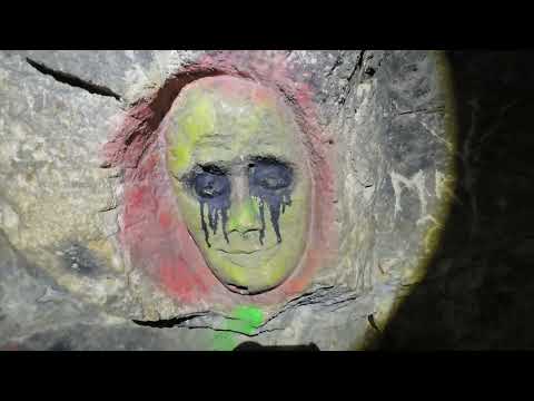 Видео: Сьяны