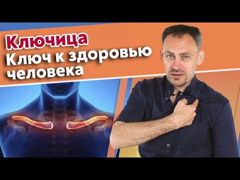 Видео: Почему важна ключица? / Самые хрупкие места организма