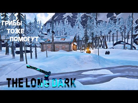 Видео: 43. Грибы тоже помогут (ᵔ.ᵔ) - The long dark