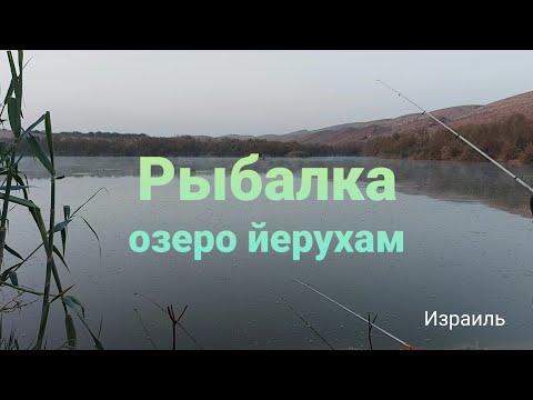 Видео: Рыбалка в Израиле , озеро Йерухам.