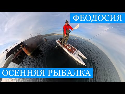 Видео: Феодосия - РЫБАЛКА!! Кефаль, сарган, грибы и достопримечательности!