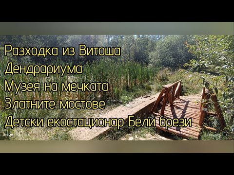Видео: Разходка из Витоша - Дендрариума, музея на мечката, Златните мостове, Детски екостационар Бели брези