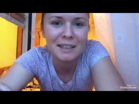 Видео: ВЛОГ: РАБОТА ГОРНИЧНОЙ В ПРАГЕ/ОЧЕНЬ ТЯЖЕЛЫЙ ДЕНЬ/ВАЛЮСЬ С НОГ/ 8 ДЕНЬ ,8 ПОКОЕВ