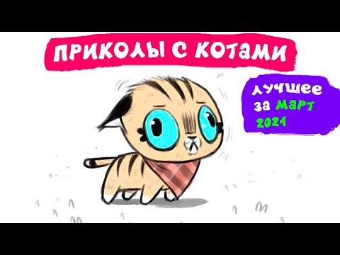 Видео: Приколы с котами. ЛУЧШЕЕ ЗА МАРТ 2021 | Мемозг