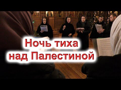 Видео: "Ночь тиха над Палестиной". Рождественская колядка