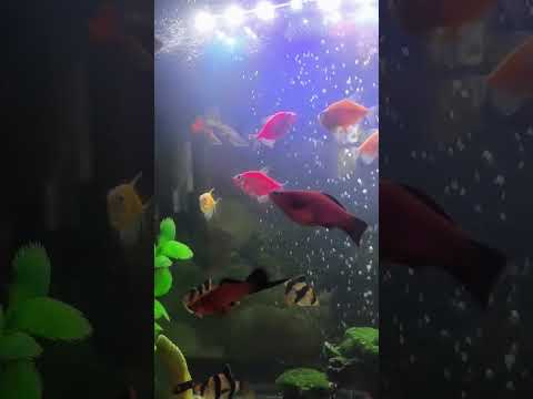 Видео: 14 сентября 2025 г.