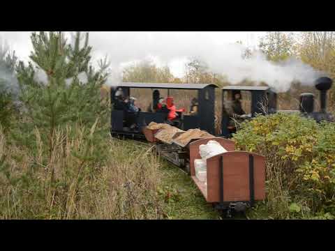Видео: Грузовое и пассажирское движение
