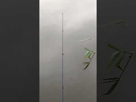 Видео: Караси. Дзержинское водохранилище 