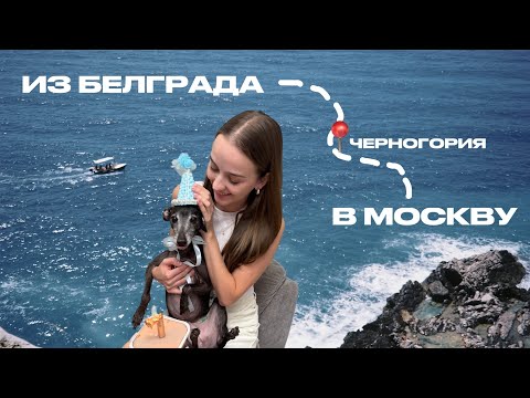 Видео: 40. ИЗ БЕЛГРАДА В МОСКВУ: МОЙ ДЕНЬ РОЖДЕНИЯ, ЧЕРНОГОРИЯ, НОВОСЕЛЬЕ