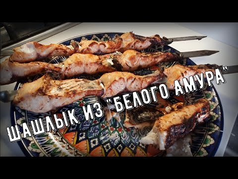 Видео: Шашлык из "Белого Амура"