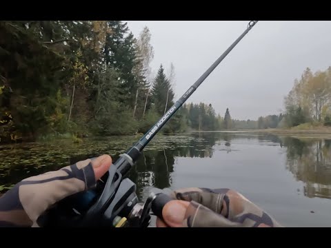 Видео: Рыбалка в ХОРОШУЮ погоду! Ловля ЩУКИ на СПИННИНГ осенью! Ловля ЩУКИ на ВОБЛЕРЫ!