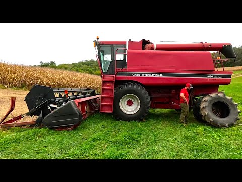 Видео: Смешиваем соевые бобы до тех пор, пока они не взорвутся! Сезон сбора урожая 2025 года!